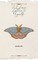 21 Love Letters to Myself