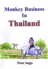 Monkey Business in Thailand