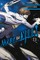 Akame ga KILL!, Vol. 11