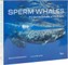 Sperm Whales