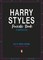 Harry Styles Puzzle Book