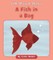 A Fish in a Bag