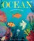 Ocean: A Peek-Through Picture Book