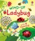 Wind-Up Ladybug