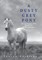 A Dusty Grey Pony Book 1 Volume 1