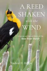 A Reed Shaken with the Wind