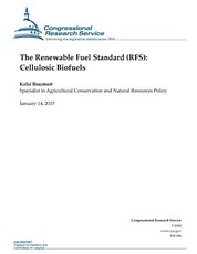 The Renewable Fuel Standard (RFS)