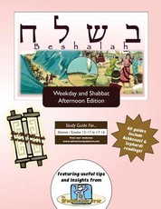 Bar/Bat Mitzvah Survival Guides