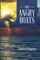 The Angry Boats