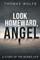 Look Homeward, Angel