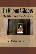 Fly Without A Shadow