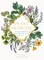Plant Medicine
