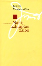 Naktį užkluptas žaibo