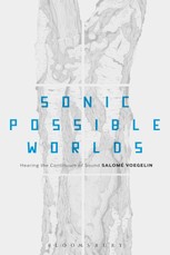 Sonic Possible Worlds