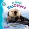All about Sea Otters