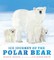 Ice Journey of the Polar Bear