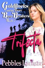Goldilocks and the Three Bear Brothers