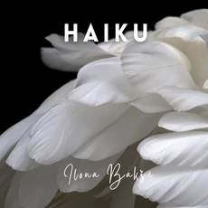 Haiku