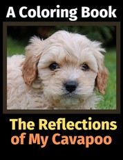 The Reflections of My Cavapoo