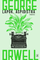 Lapok, aspidistra