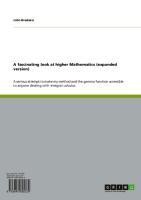 A fascinating look at higher Mathematics (expanded version)