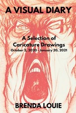 A Visual Diary