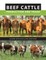 Beef Cattle Production and Trade