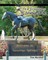 Our Summer in Saratoga Springs