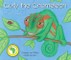 Curly the Chameleon