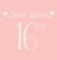 Happy 16th Birthday Guest Book (Hardcover)