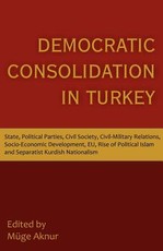 Democratic Consolidation in Turkey