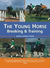 The Young Horse