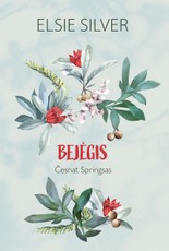 Bejėgis (Česnat Springsas, #3)