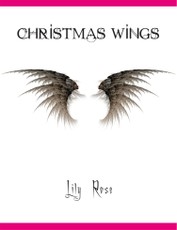 Christmas Wings