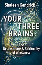 Your Three Brains: The Neuroscience & Spirituality of Wholeness