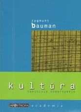 Kultūra takiojoje modernybėje