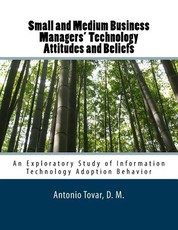 Small and Medium Business Managers' Technology Attitudes and Beliefs