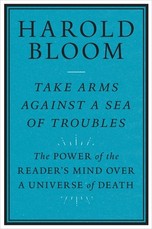 Take Arms Against a Sea of Troubles