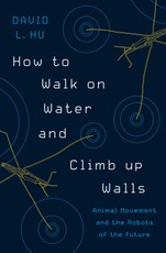 How to Walk on Water and Climb up Walls