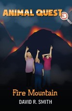 Fire Mountain