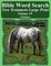 Bible Word Search New Testament Large Print Volume 39