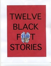 Twelve Blackfeet Stories