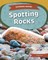 Spotting Rocks