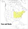 A Field Guide to Trees and Shrubs
