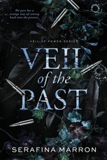 Veil of the Past