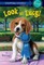 Absolutely Lucy #3: Look at Lucy!