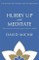 Hurry Up and Meditate