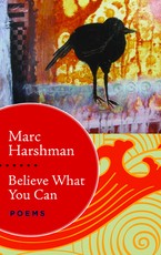 Believe What You Can