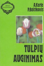 Tulpių auginimas