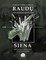 Raudų siena: epitafijos Lietuvos partizanams